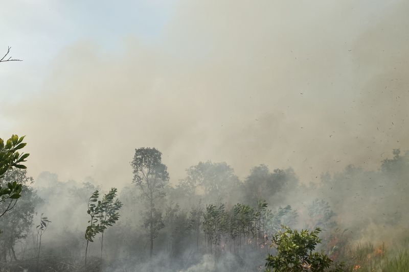 Kabut Asap Tebal Akibat Karhutla Kalsel, BMKG Imbau Pakai Masker - MuhammadiyahNews.com Kabut Asap Tebal Akibat Karhutla Kalsel, BMKG Imbau Pakai Masker - MuhammadiyahNews.com