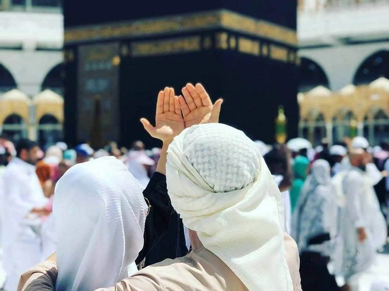 Akad Nikah di Masjidl Haram dan Masjid Nabawi