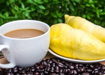 Makanan dan minuman yang tidak boleh dikonsumsi bersamaan dengan durian