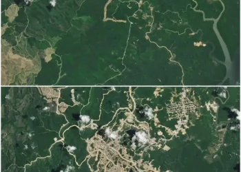 Foto Satelit IKN