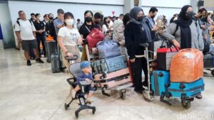 Larangan barang bawaan dari LN