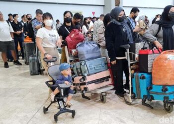Larangan barang bawaan dari LN