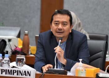 DPR RI