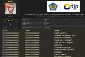 Data NPWP bocor