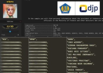 Data NPWP bocor