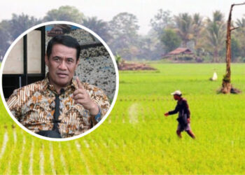 Program satu juta hektar sawah