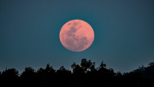Hunter's Moon