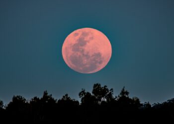 Hunter's Moon
