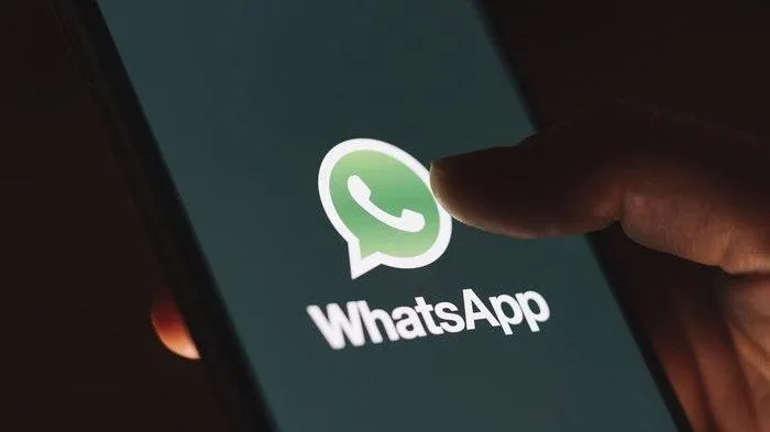 Aplikasi WhatsApp hingga Google Derive dilarang Pemerintah Hong Kong digunakan oleh PNS [Foto: tribunnews.com]