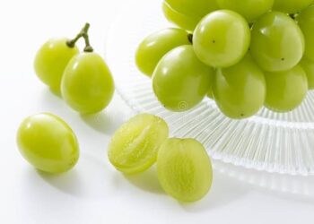 Anggur Shine Muscat