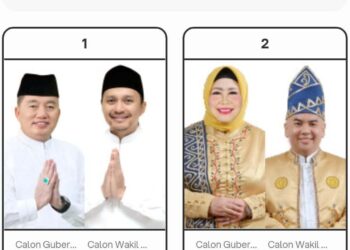 Calon Gubernur kalsel
