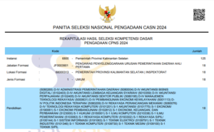 HASIL SKD CPNS 2024