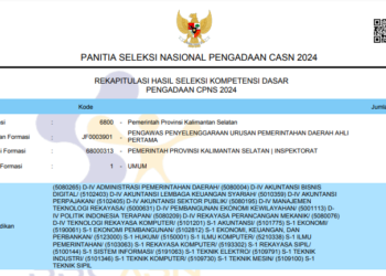 HASIL SKD CPNS 2024