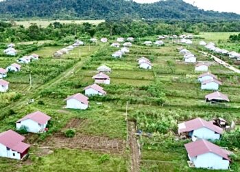 Lahan Transmigran