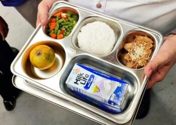 Program makan gratis