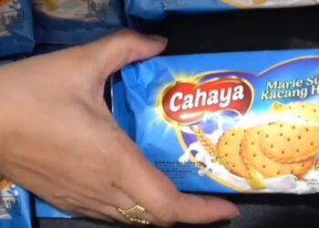 Biskuit cahaya