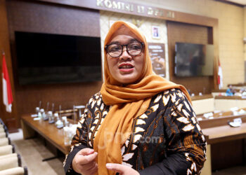 Dewan Pembina Forum Honorer K2 Teknis Administrasi, Nur Baitih