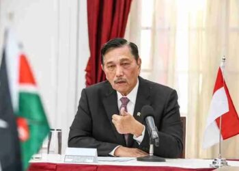 Luhut