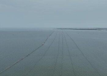 Pagar laut misterius di perairan Tanggerang
