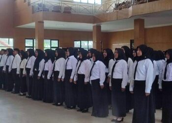 Pakaian Dinas PPPK
