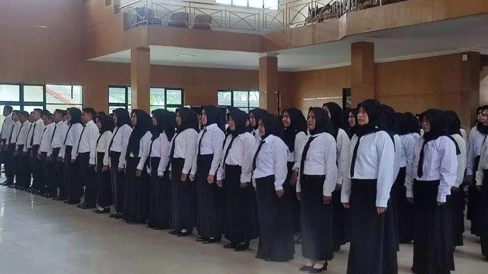 Pakaian Dinas PPPK