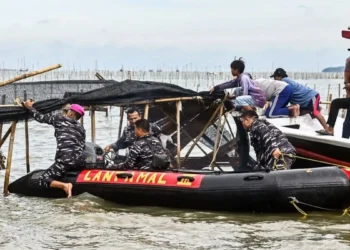 TNI AL Bersama KKP Bongkar Pagar Laut Tangerang