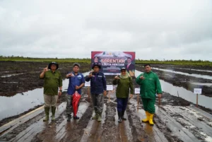 ULM Dukung Penanaman Jagung Serentaks