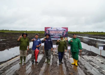 ULM Dukung Penanaman Jagung Serentaks