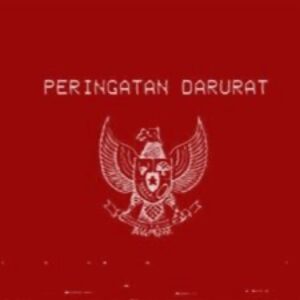 Peringatan darurat