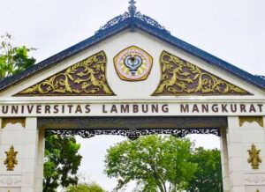 ULM