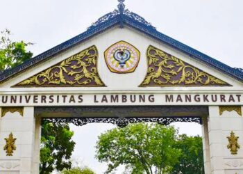 ULM