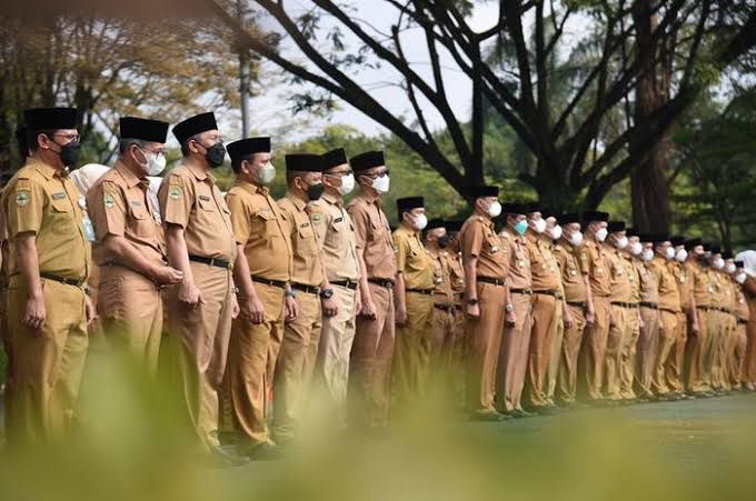 Petisi pengunduran CPNS