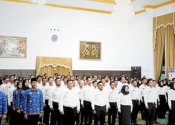 CPNS PPPK