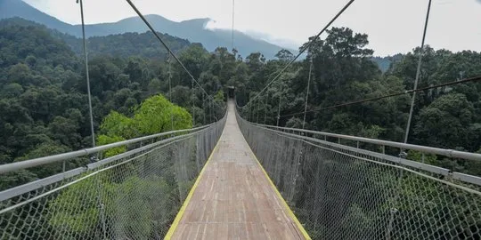 Jembatan gantung