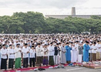 Salat ied