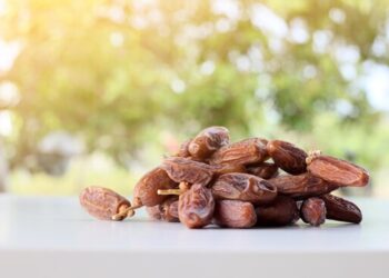 Kurma