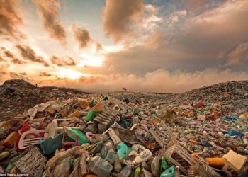 TPA Sampah