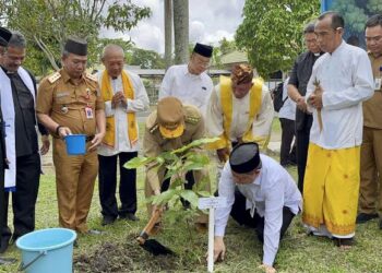 Tanam pohon