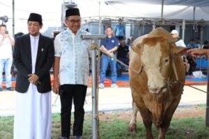 Kurban dari non muslim