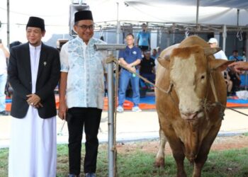 Kurban dari non muslim