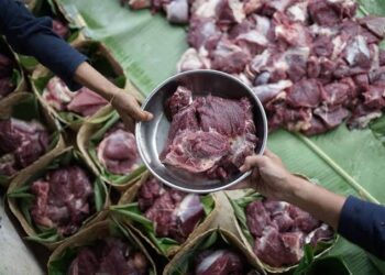 Daging kurban