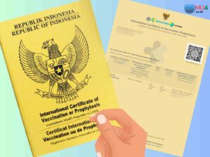 e-ICV Vaksin Meningitis