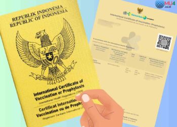 e-ICV Vaksin Meningitis