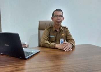 BKD Kalsel Proyeksikan ribuan honorer diangkat PPPK