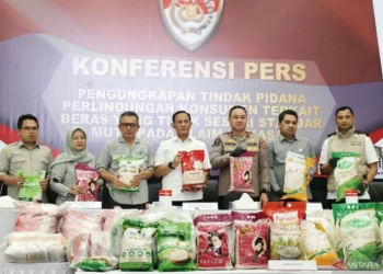 Beras Oplosan