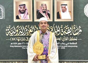 Bayu Wibisono Damanik