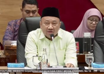 Wakil Ketua Komisi X DPR