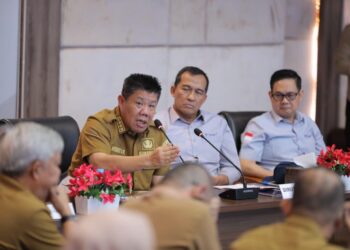 Gubernur Bangka Belitung, Hidayat Arsani