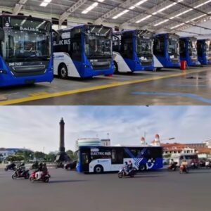 Bus listrik lokal