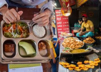 Kerja Sama MBG dengan India